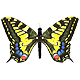butterflyanne's Avatar