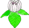 asdtodv87's Avatar