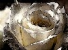 Timeforhelp's Avatar